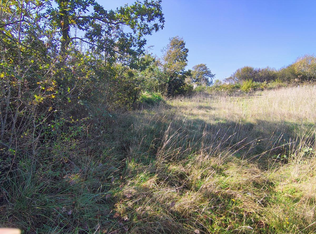 Istra Barban građevinsko zemljište 1,465 m2