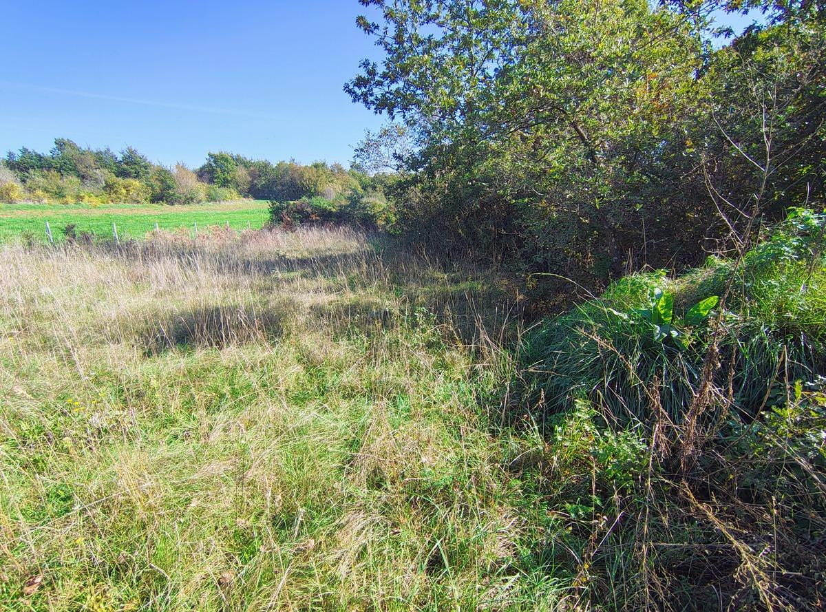 Istra Barban građevinsko zemljište 1,465 m2 - Foto 2