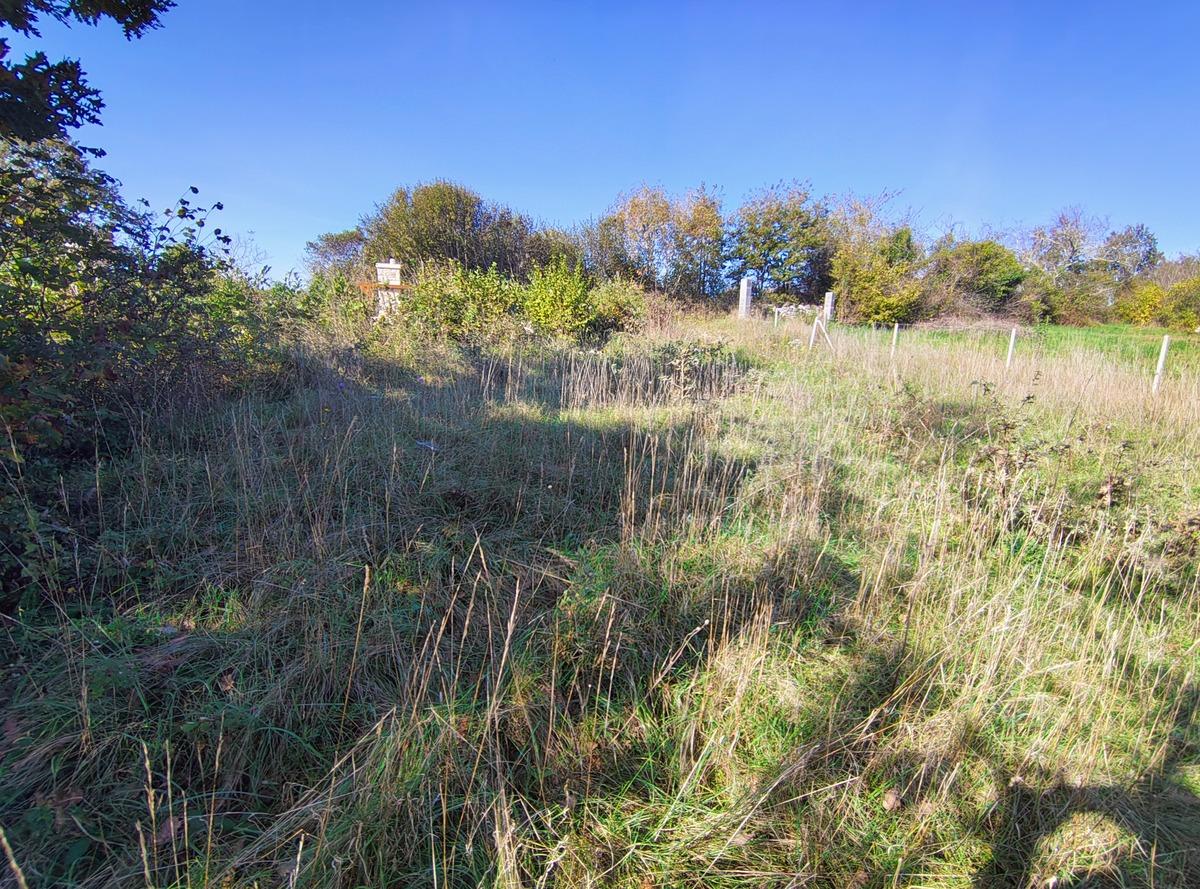 Istra Barban građevinsko zemljište 1,465 m2 - Foto 3