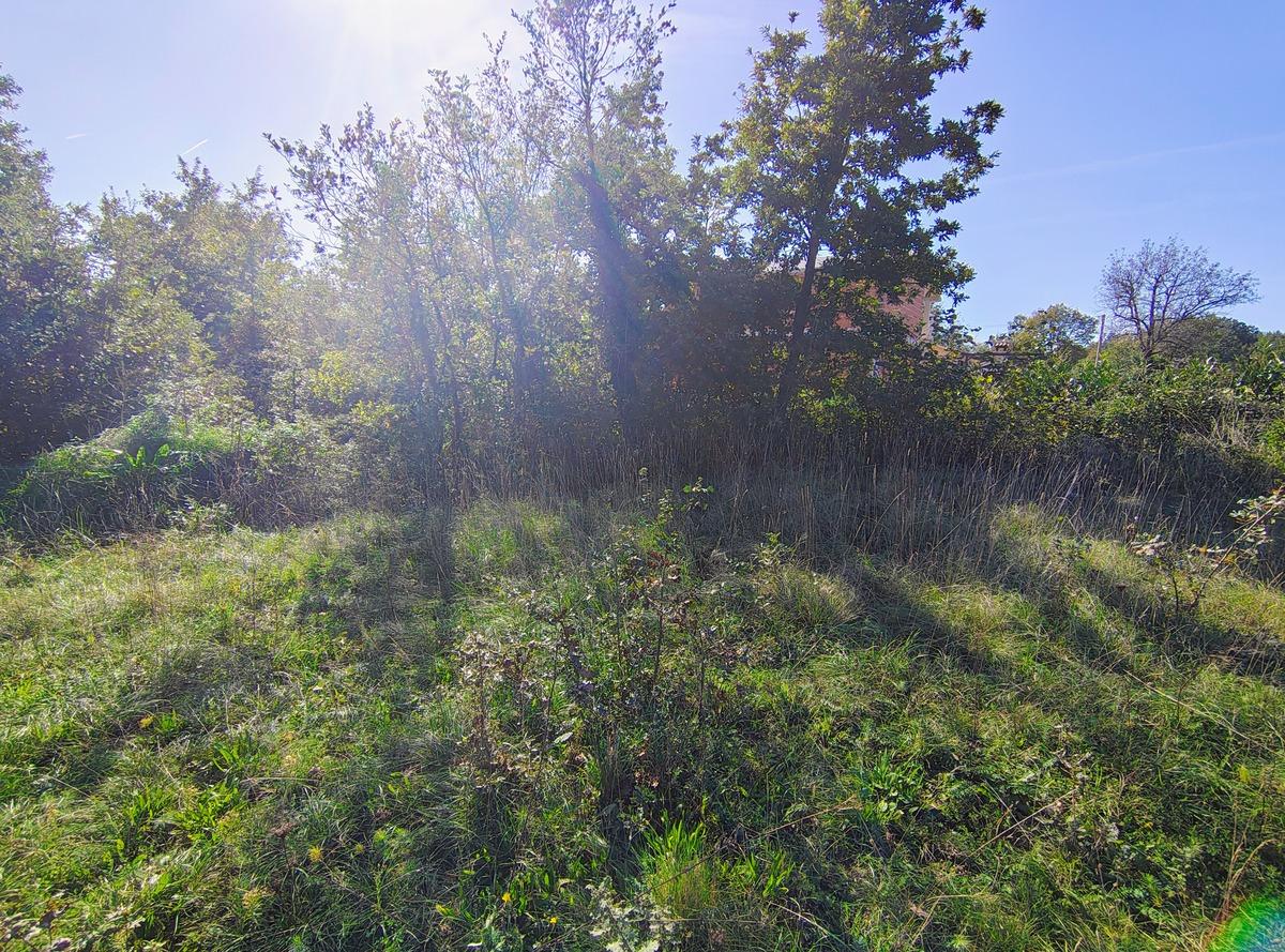 Istra Barban građevinsko zemljište 1,465 m2 - Foto 4