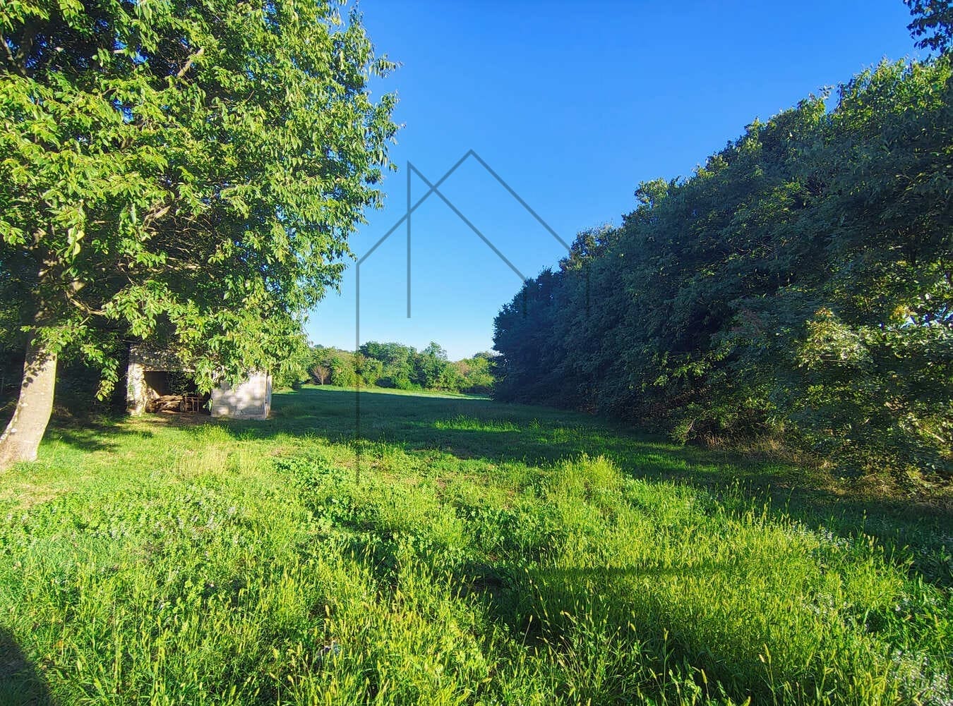 Istra, Barban, Građevinsko zemljište - Foto 2