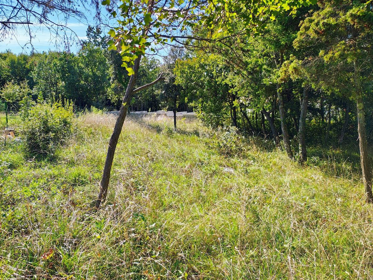 Istra Barban građevinsko zemljište. - Foto 3