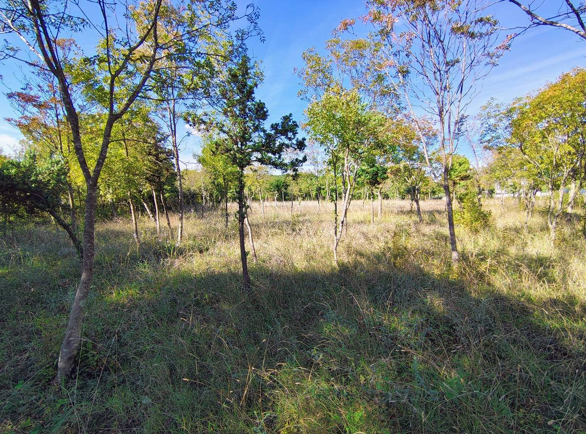 Istra Barban građevinsko zemljište. - Foto 5