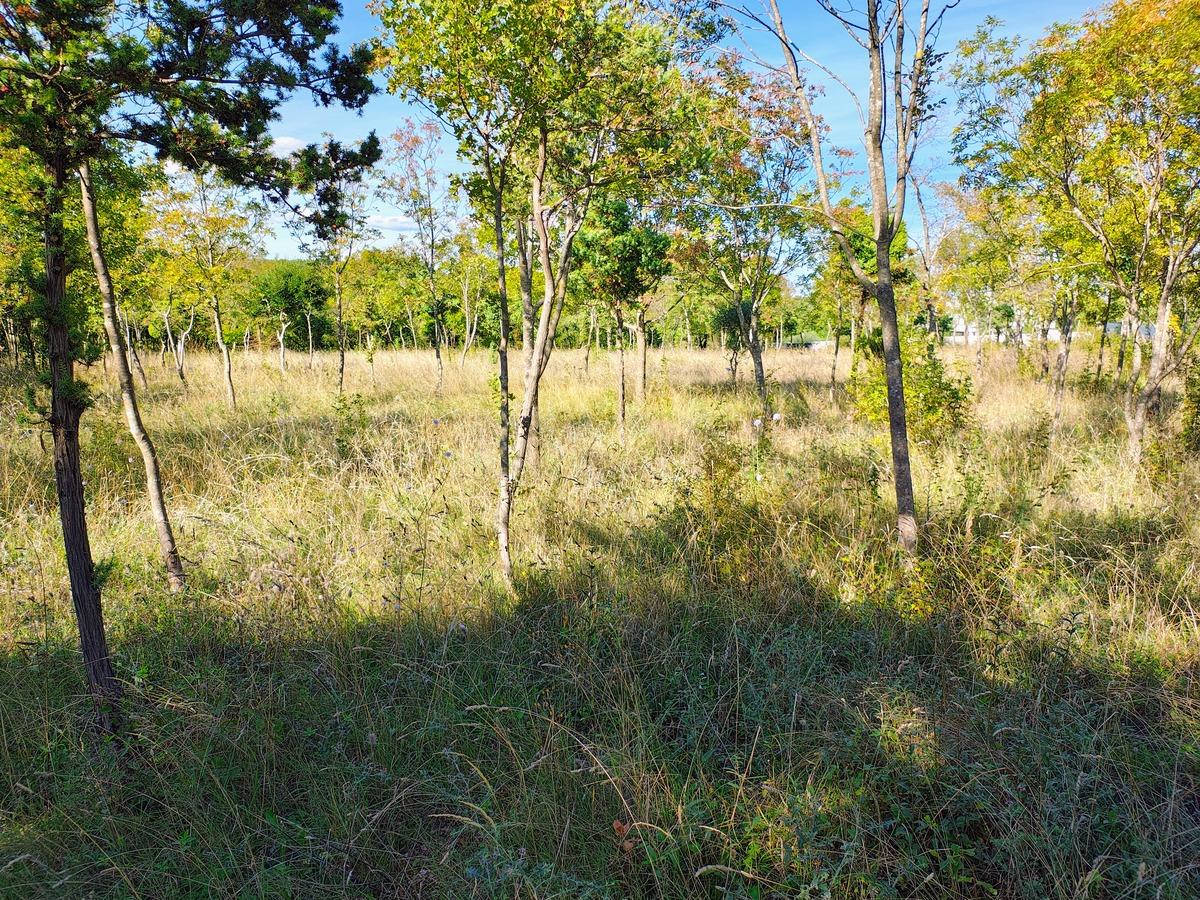 Istra Barban građevinsko zemljište. - Foto 7