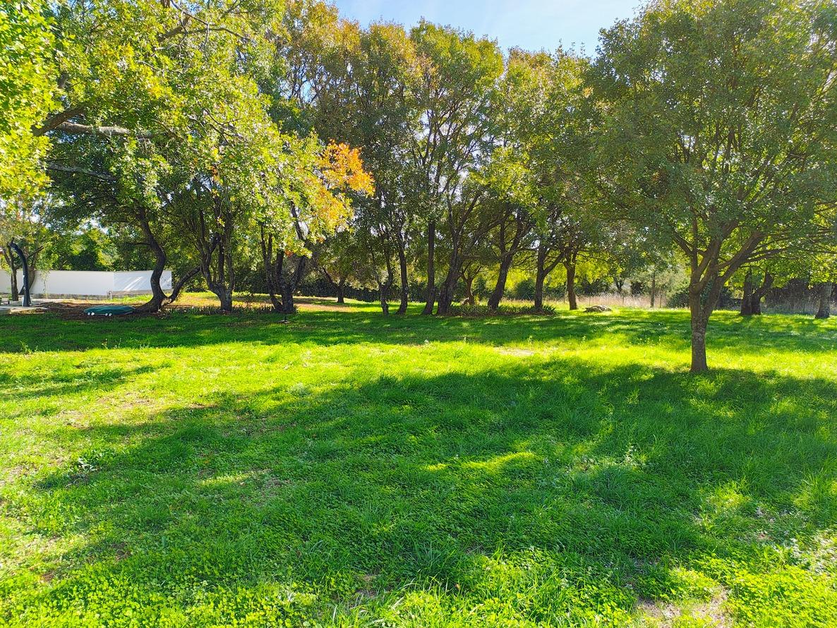Istra Barban Kamena kuća s bazenom - Foto 23
