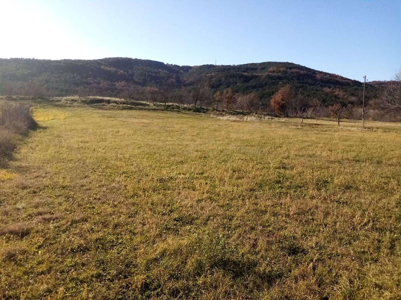 Istra Građevinsko zemljište u srcu prirode - Foto 3