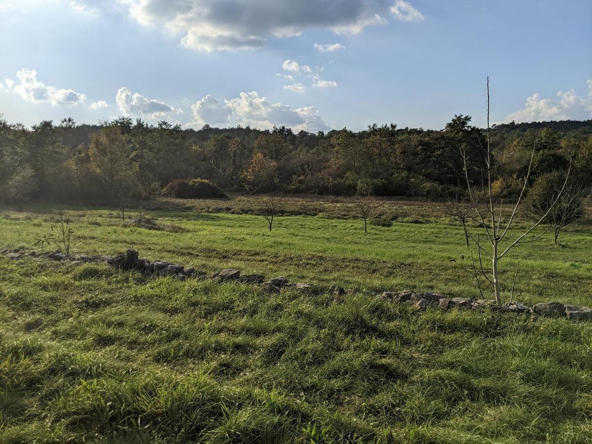 Istra Labin građevinsko i poljoprivredno zemljište - Foto 2