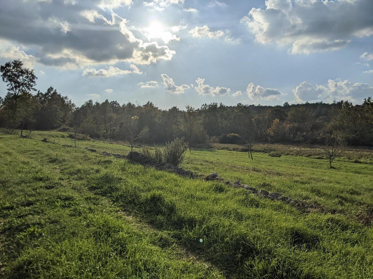 Istra Labin građevinsko i poljoprivredno zemljište - Foto 4