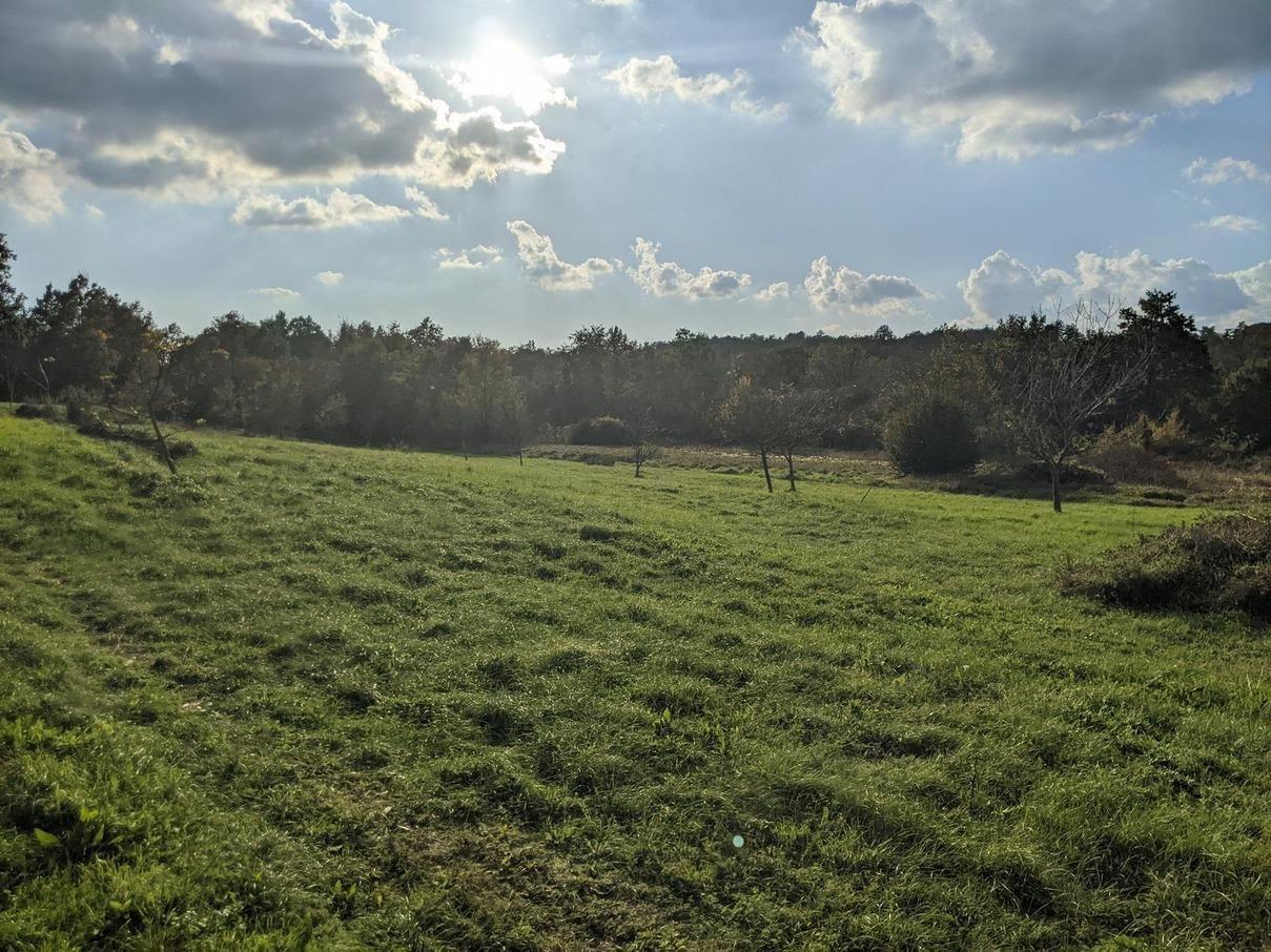 Istra Labin građevinsko i poljoprivredno zemljište - Foto 7