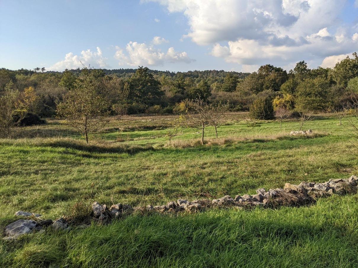 Istra Labin građevinsko i poljoprivredno zemljište - Foto 10