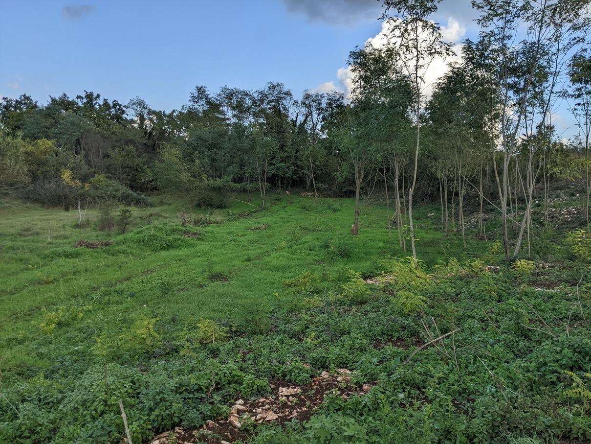 Istra Labin, građevinsko zemljište 1586 m2