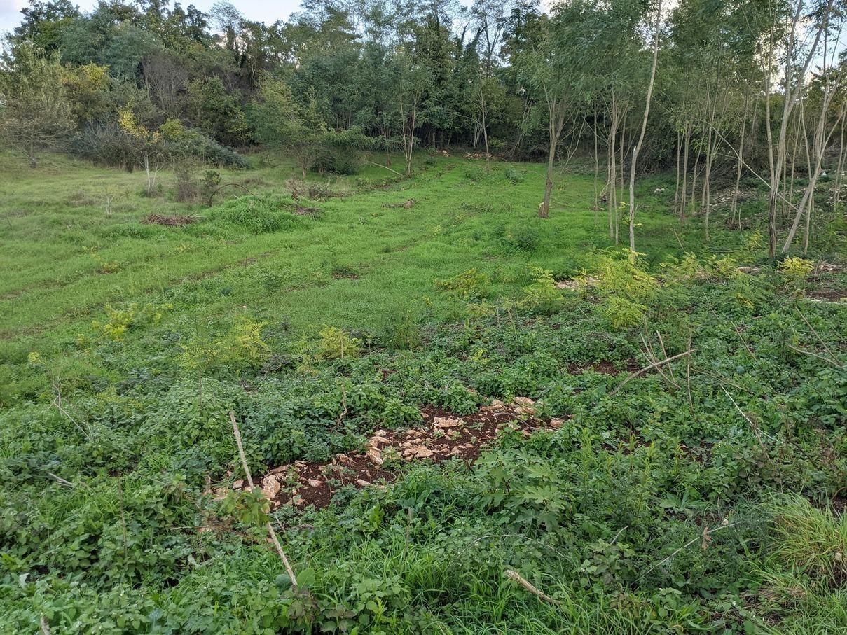 Istra Labin, građevinsko zemljište 1586 m2 - Foto 2