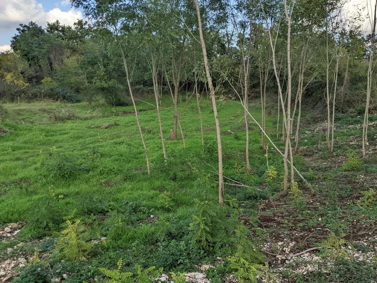 Istra Labin, građevinsko zemljište 1586 m2 - Foto 3