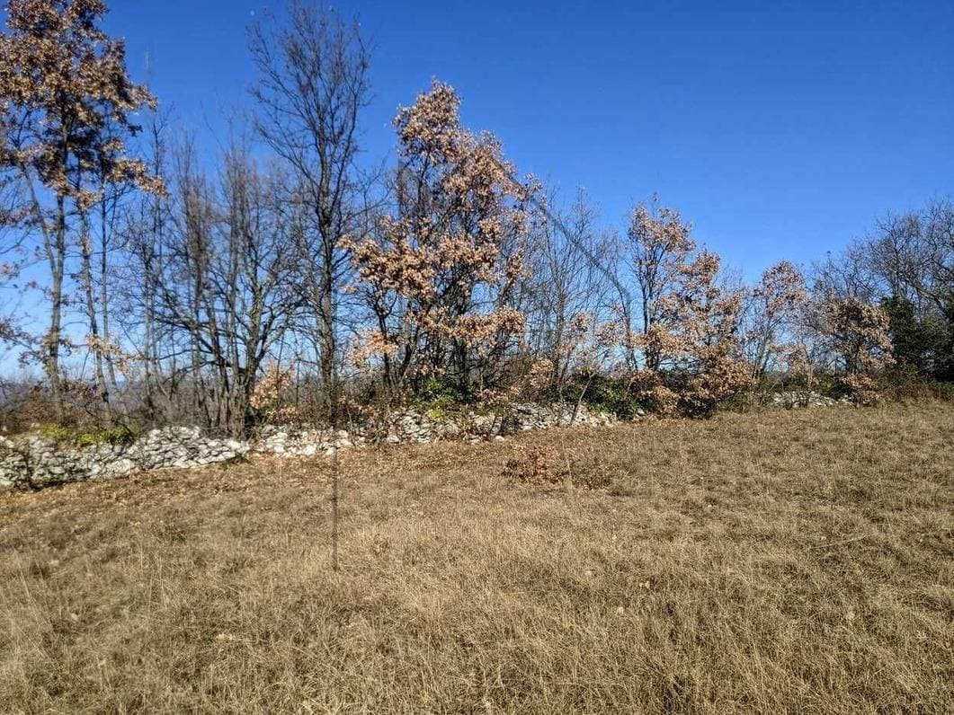 Istra, Labin, poljoprivredno zemljište 7377 m2