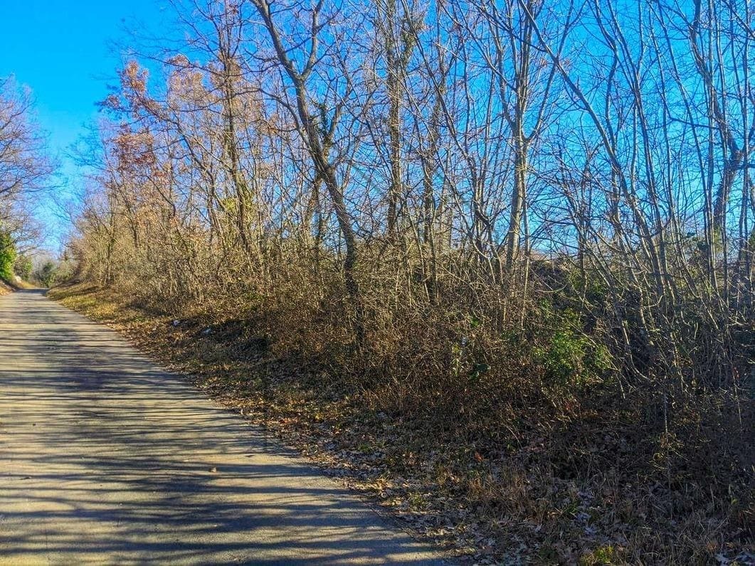 Istra, Labin, poljoprivredno zemljište 7377 m2 - Foto 3