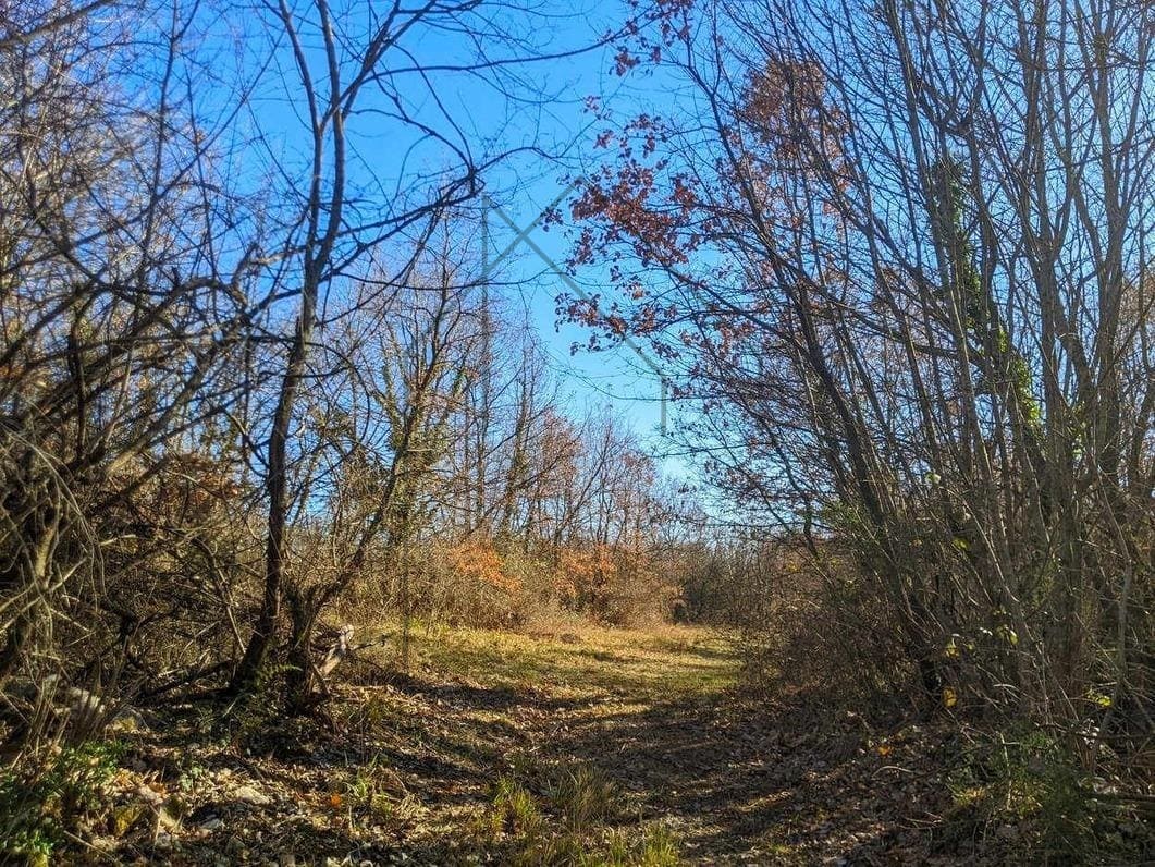 Istra, Labin, poljoprivredno zemljište 7377 m2 - Foto 4