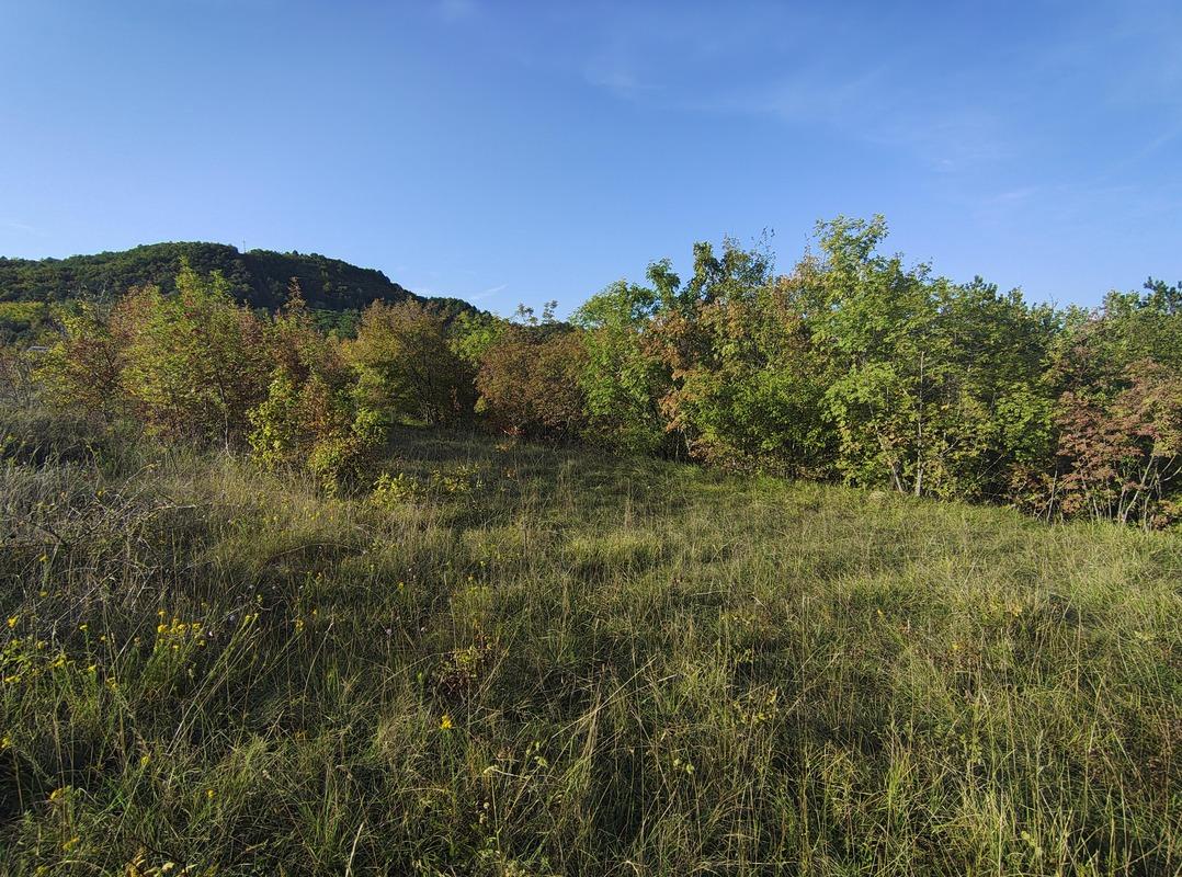 Istra Paz veliko poljoprivredno zemljište