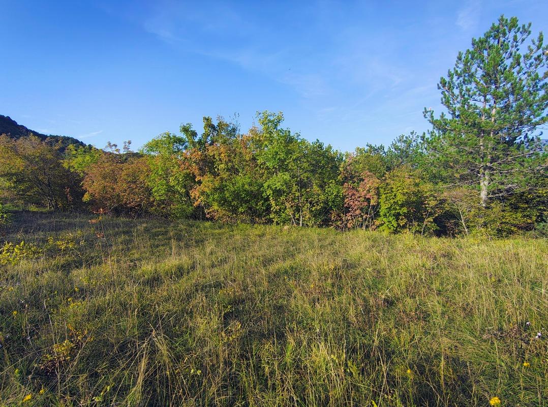 Istra Paz veliko poljoprivredno zemljište - Foto 2