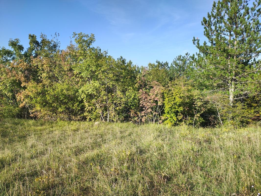 Istra Paz veliko poljoprivredno zemljište - Foto 3