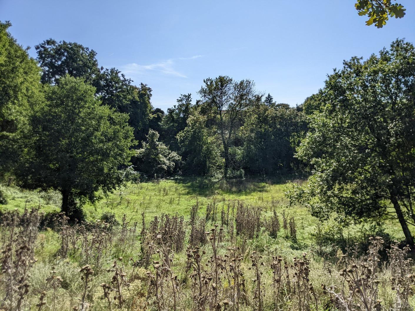 Istra, Svetvinčenat, kompleks građevinog i poljoprivrednog zemljišta - Foto 3