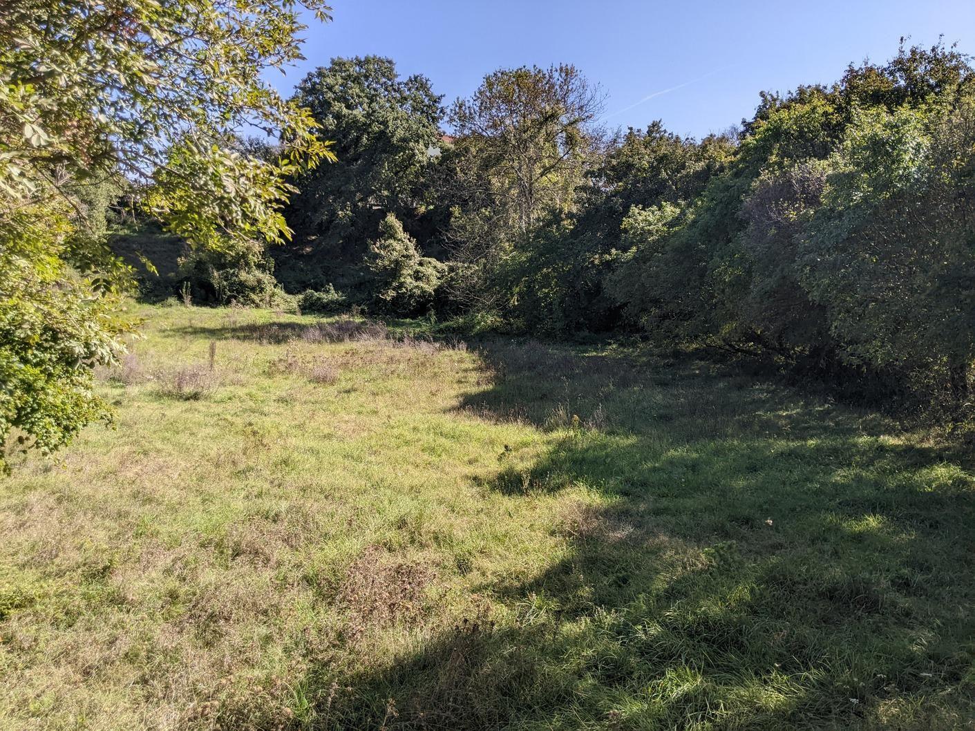 Istra, Svetvinčenat, kompleks građevinog i poljoprivrednog zemljišta - Foto 4