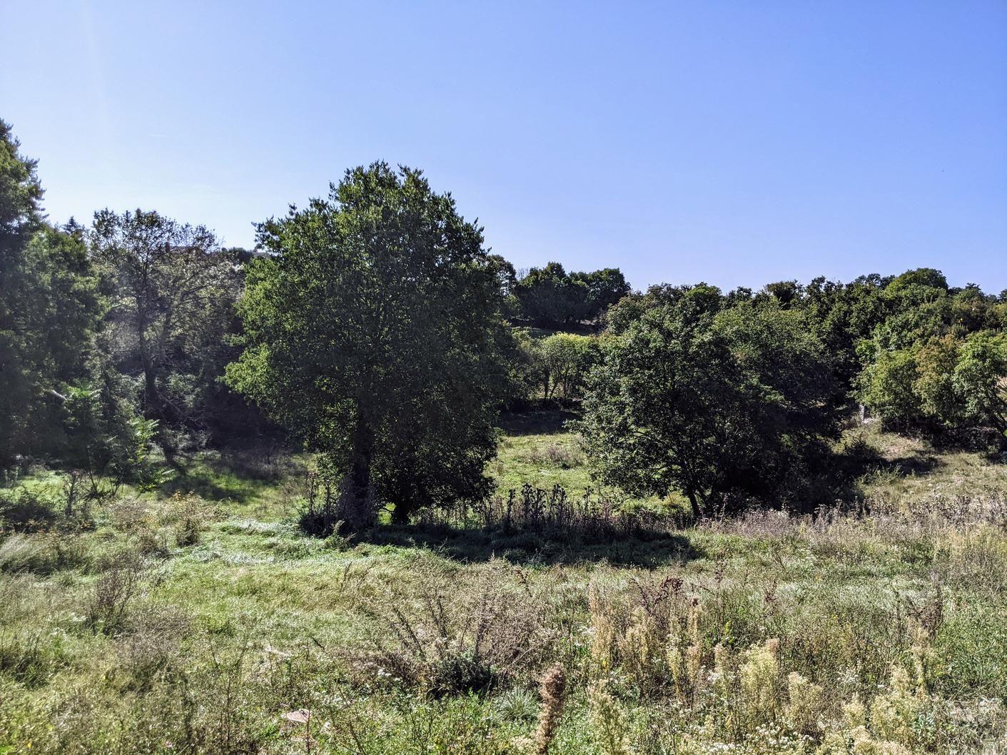 Istra, Svetvinčenat, kompleks građevinog i poljoprivrednog zemljišta - Foto 8