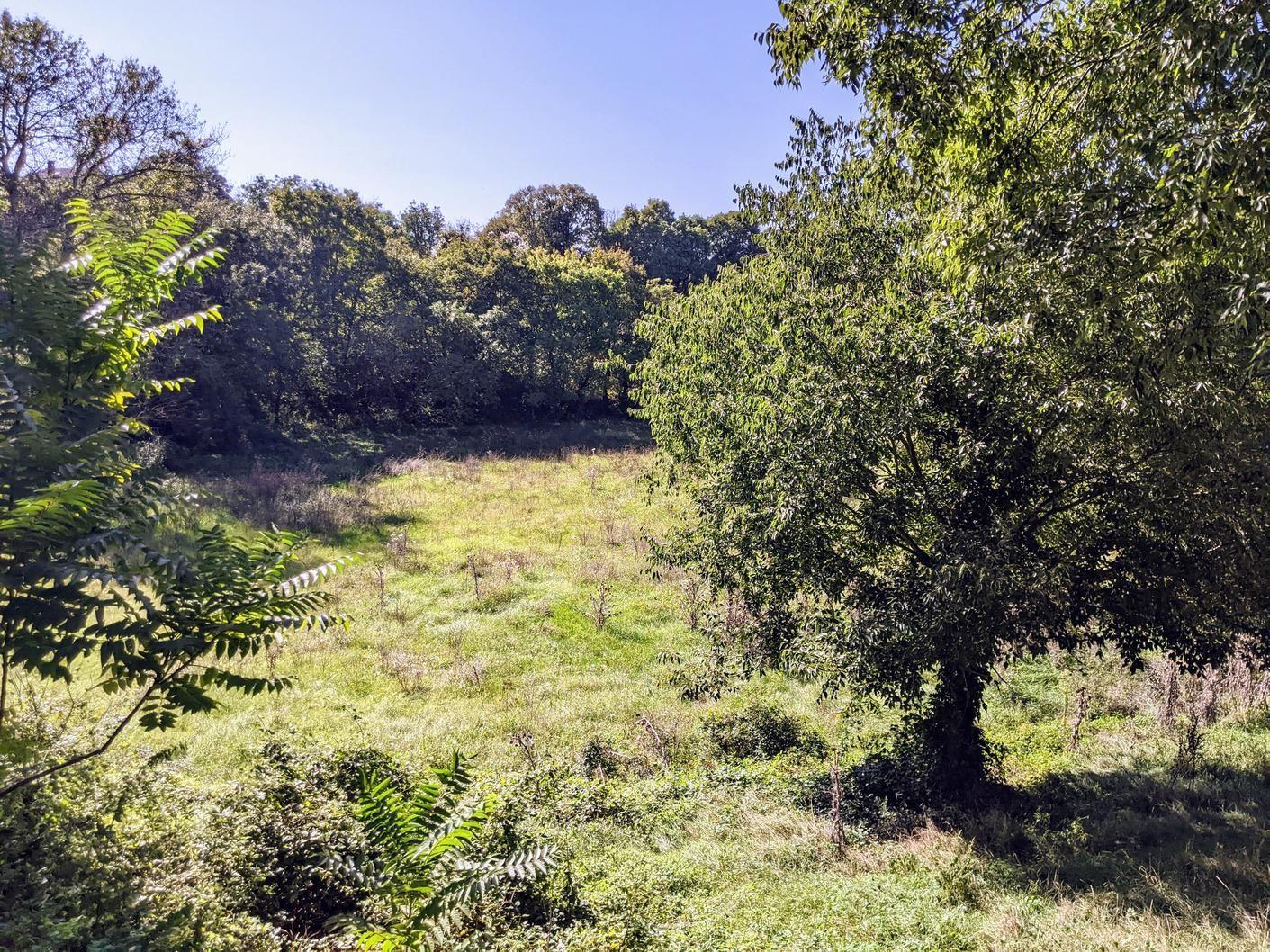 Istra, Svetvinčenat, kompleks građevinog i poljoprivrednog zemljišta - Foto 9