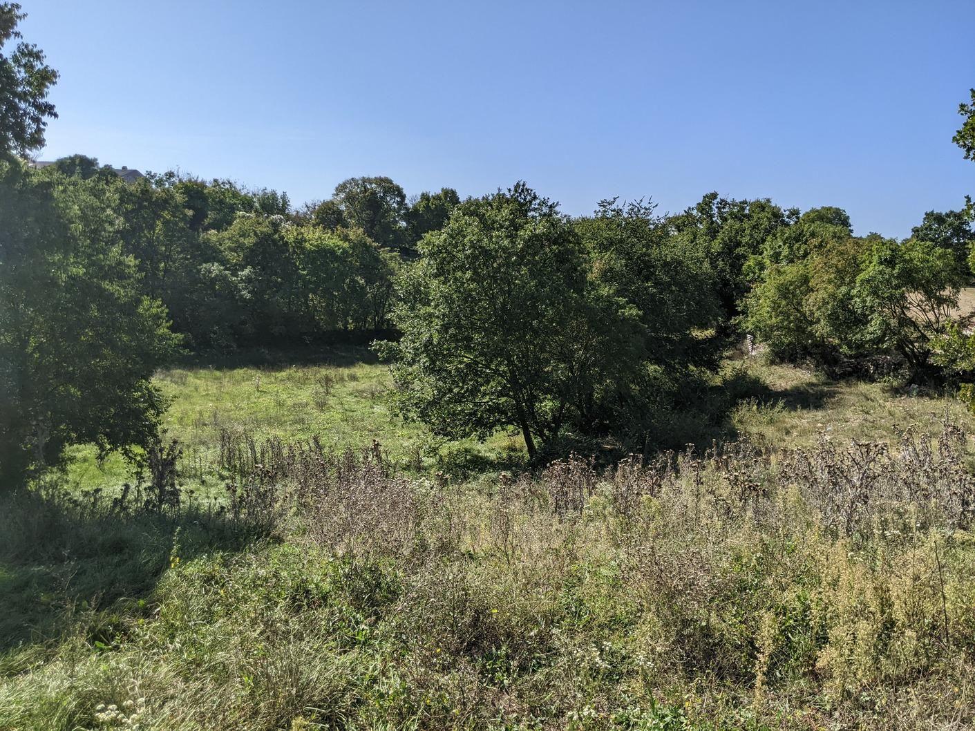 Istra, Svetvinčenat, kompleks građevinog i poljoprivrednog zemljišta - Foto 12