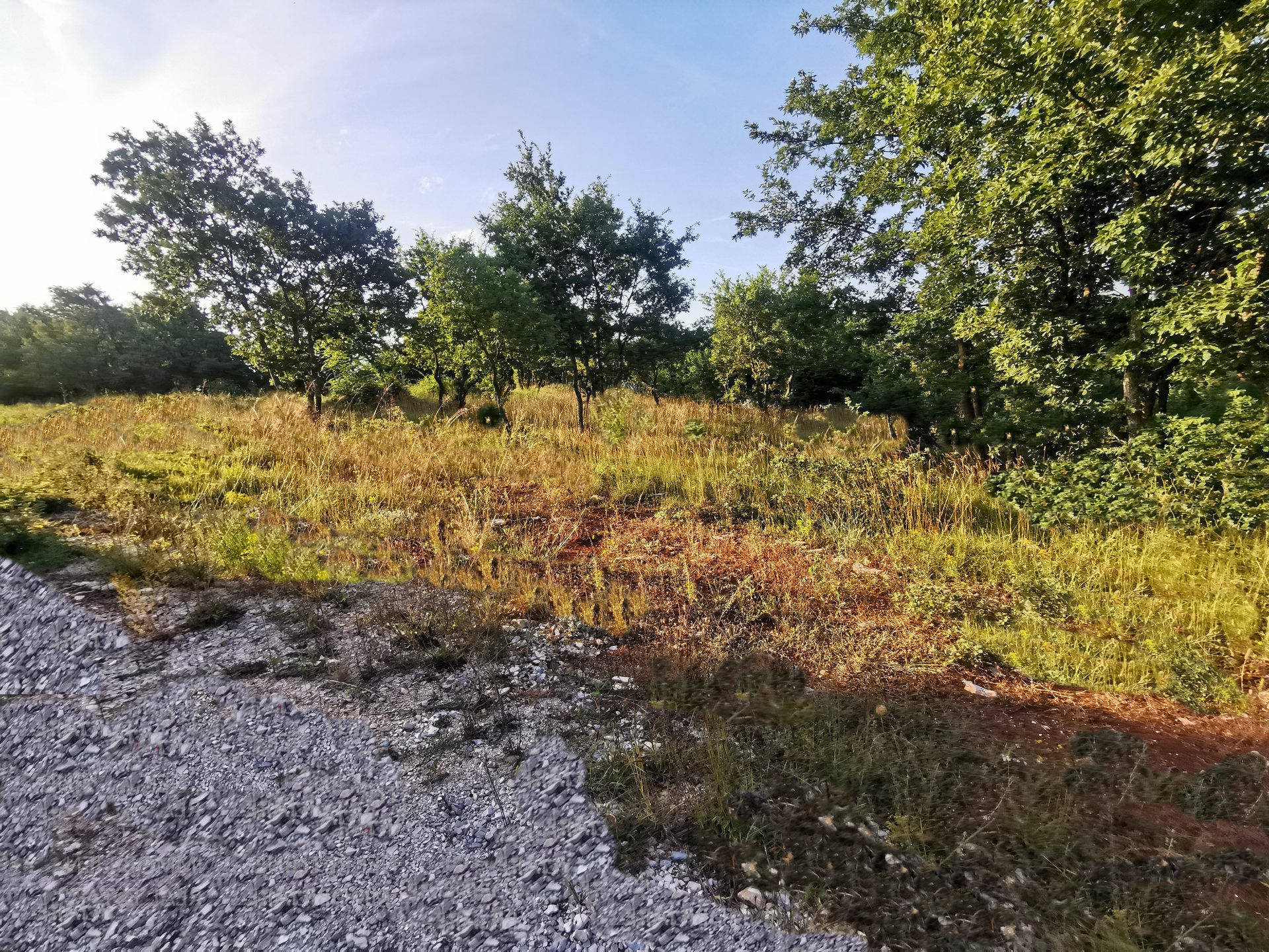 Istra Svetvinčenat poljoprivredno zemljište 19,167 m2 - Foto 4