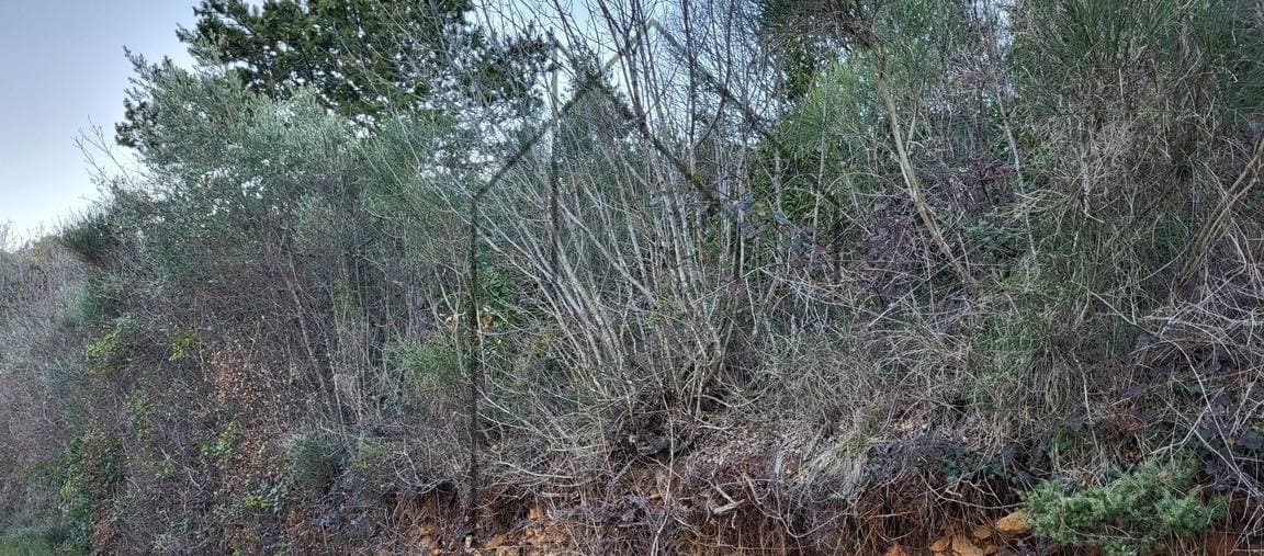 Istra zemljište s pogledom na more u široj okolici Labina - Foto 3