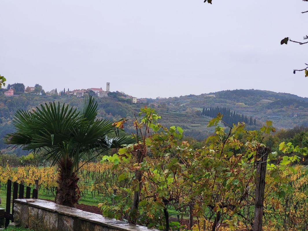 Oprtalj Kamena kuća s potencijalom i pogledom - Foto 9